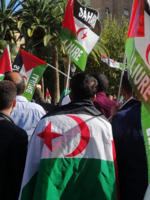 Manifestante saharaui con la bandera sobre la espalda