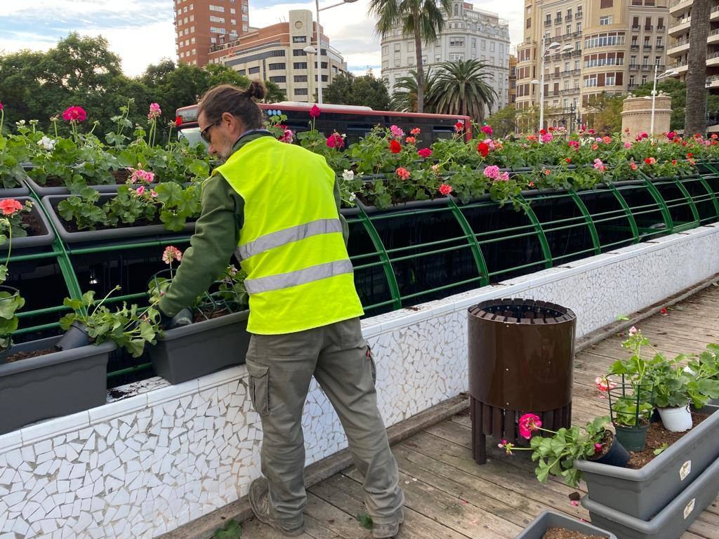 Vuelven los geranios al Puente de las Flores de Valencia
